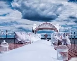 Выездная регистрация брака в шатре Минск